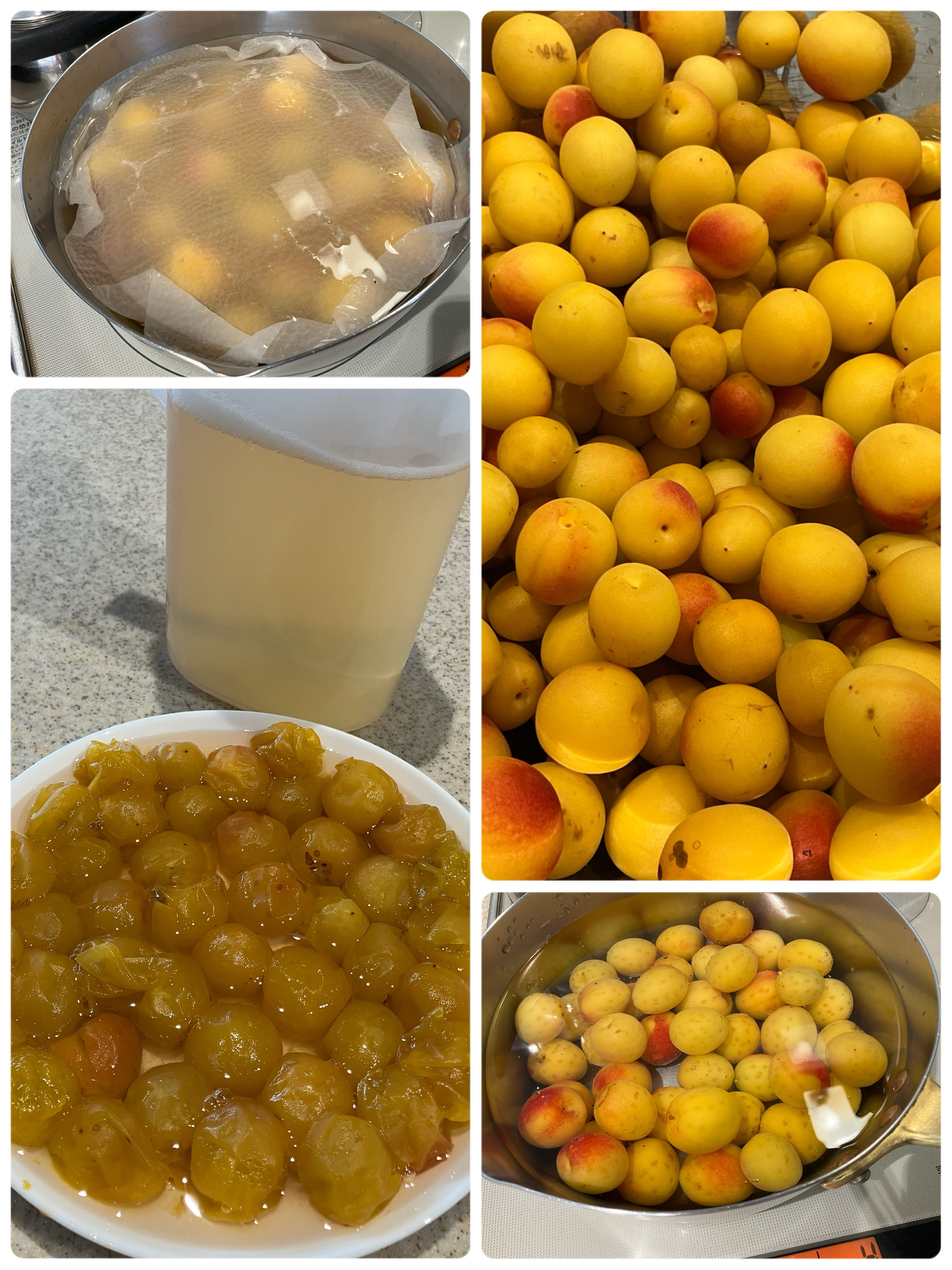 梅の甘露煮～ケアハウス一般～