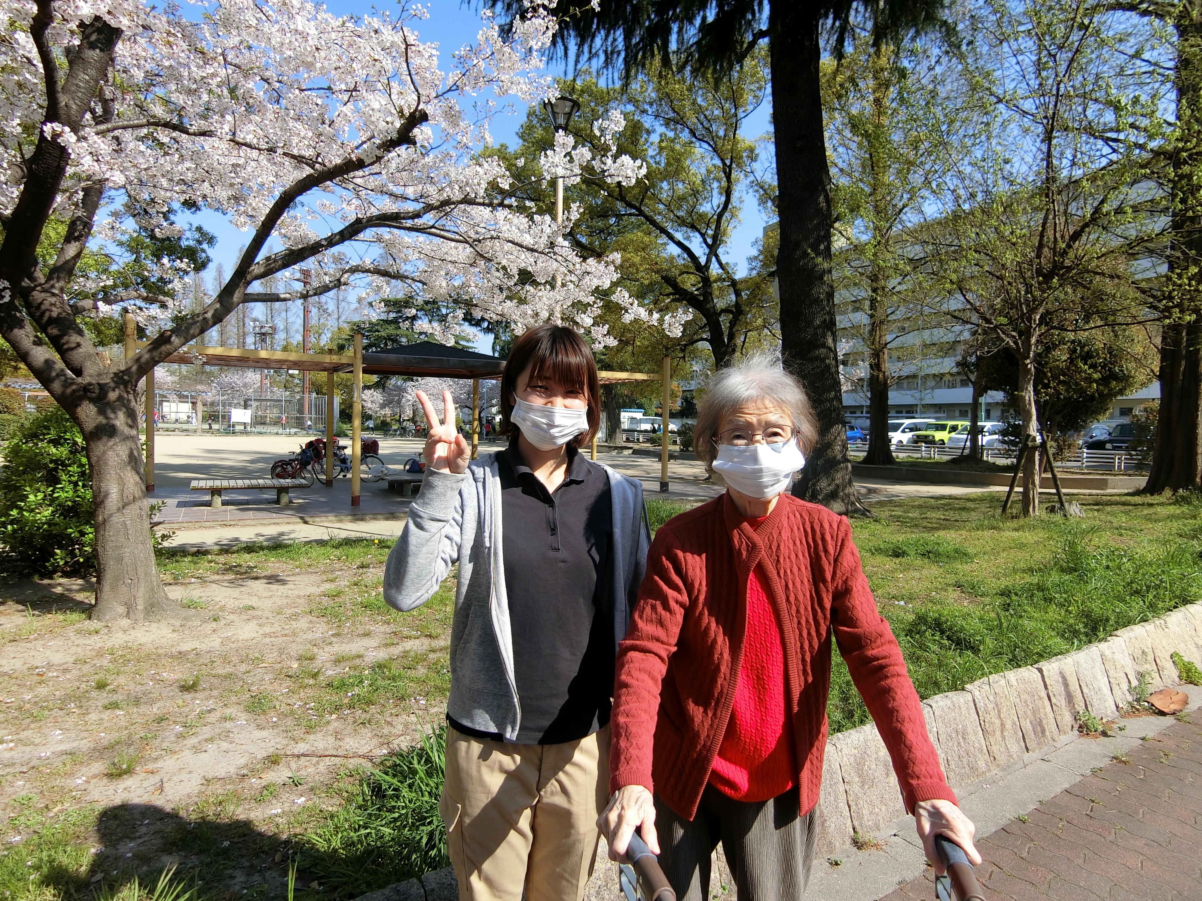 お花見散歩