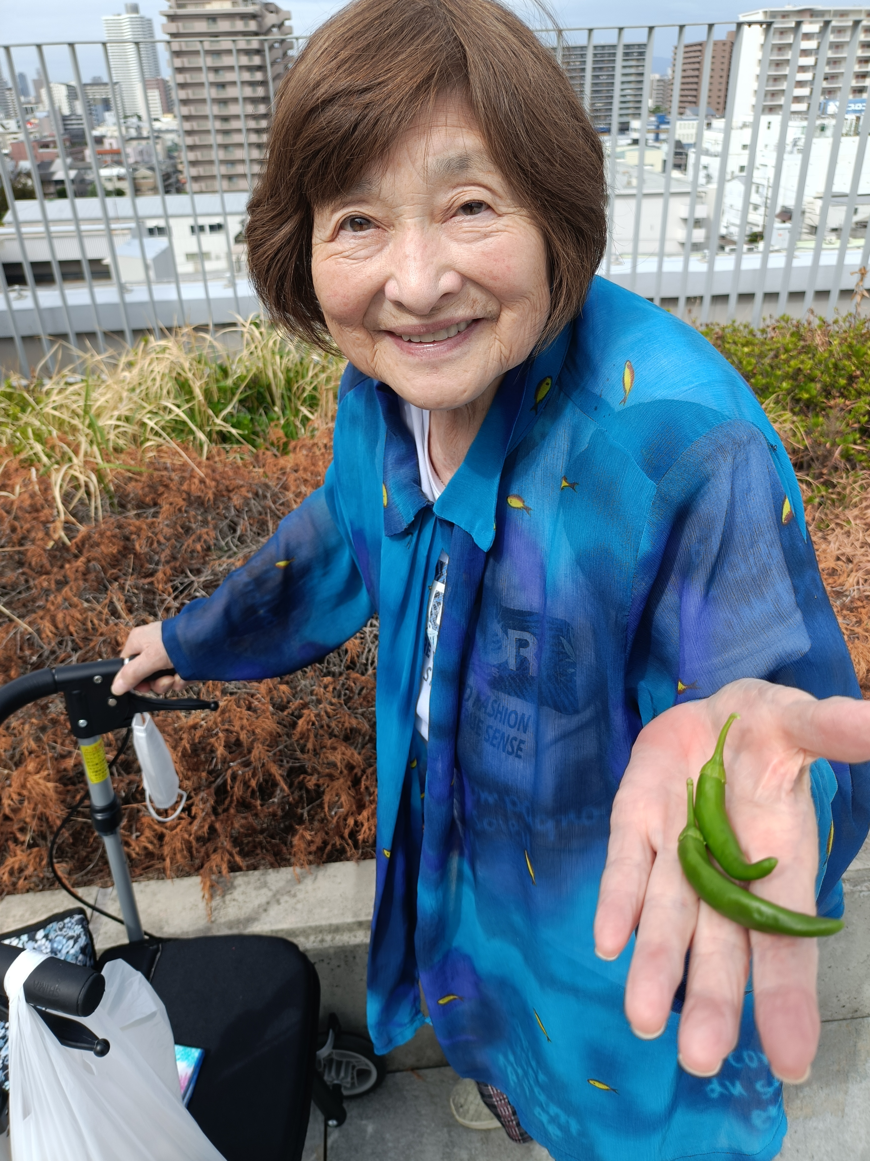 ＊＊今年も収穫できました♪＊＊　高殿苑やさいクラブ