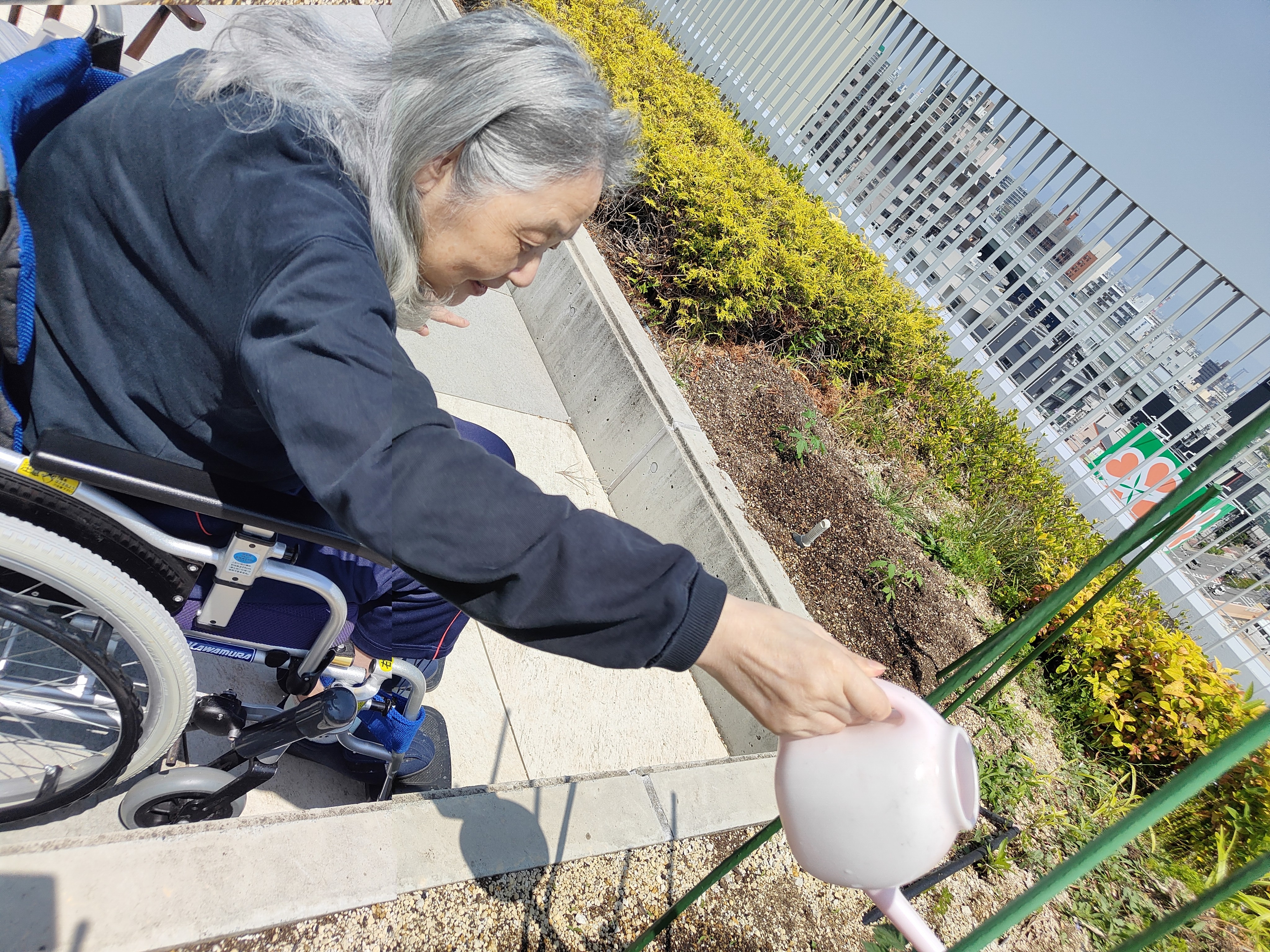今年もたくさん実りますように！＊＊高殿苑やさいクラブ＊＊