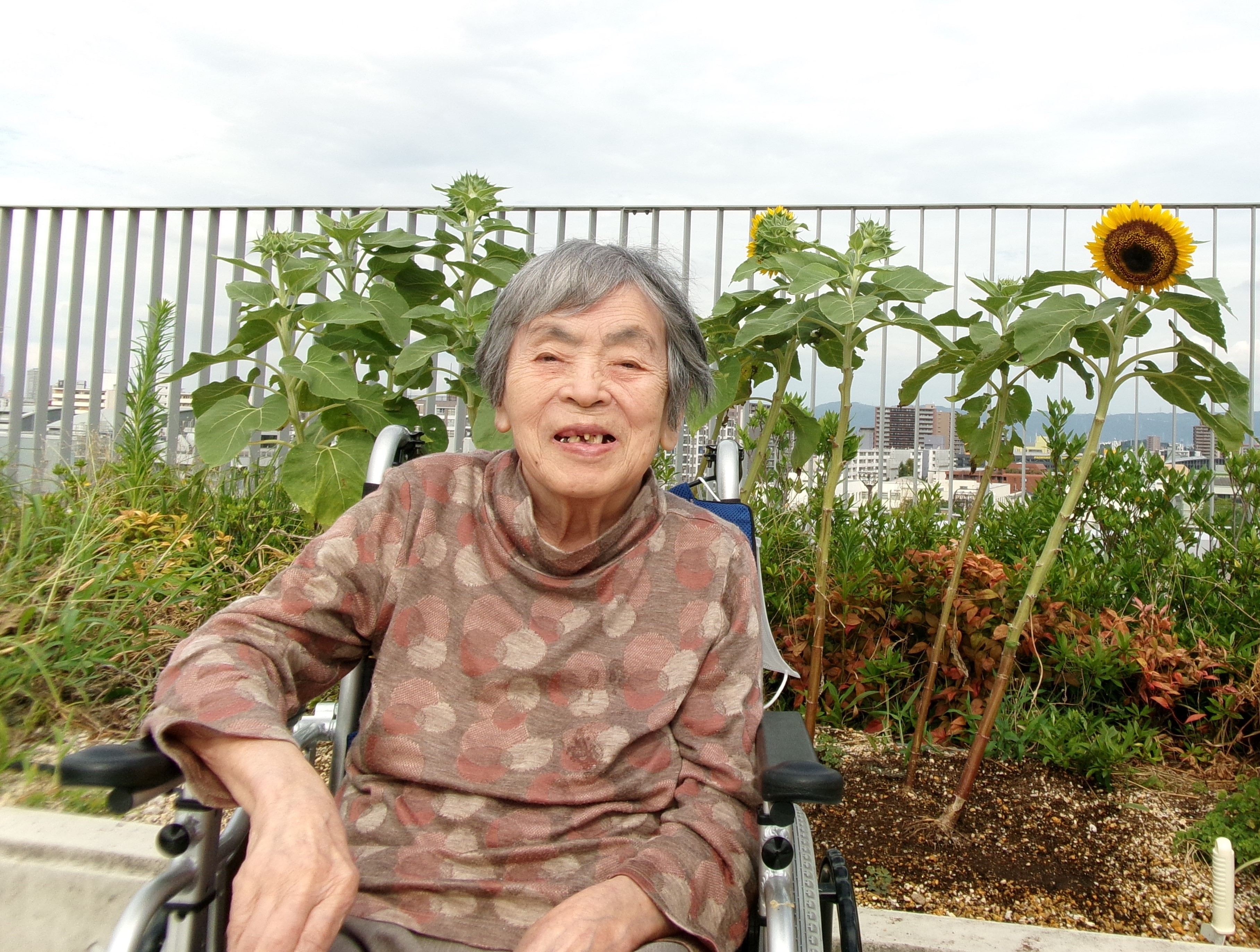 屋上を散歩しました＊＊向日葵・薔薇ユニット＊＊