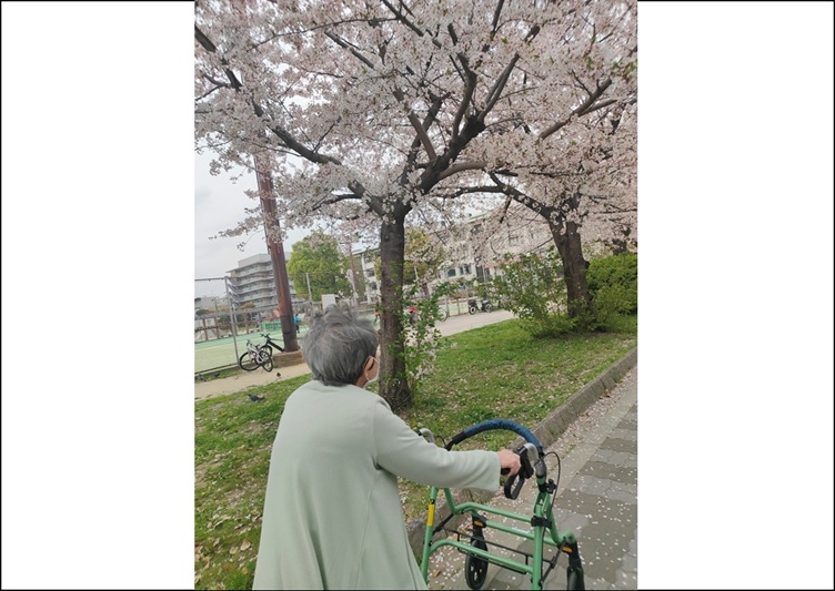 花見＊＊機能訓練＊＊